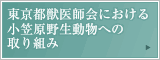 �����s�b��t��ɂ����鏬�}���쐶�����ւ̎��g��