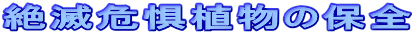 ��Ŋ뜜�A���̕ۑS